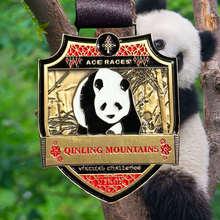 Load image into Gallery viewer, QinLing Mountains Virtual Challenge - 75km