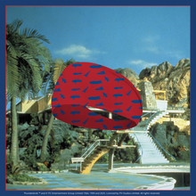 Load image into Gallery viewer, Thunderbirds Running Active Headband
