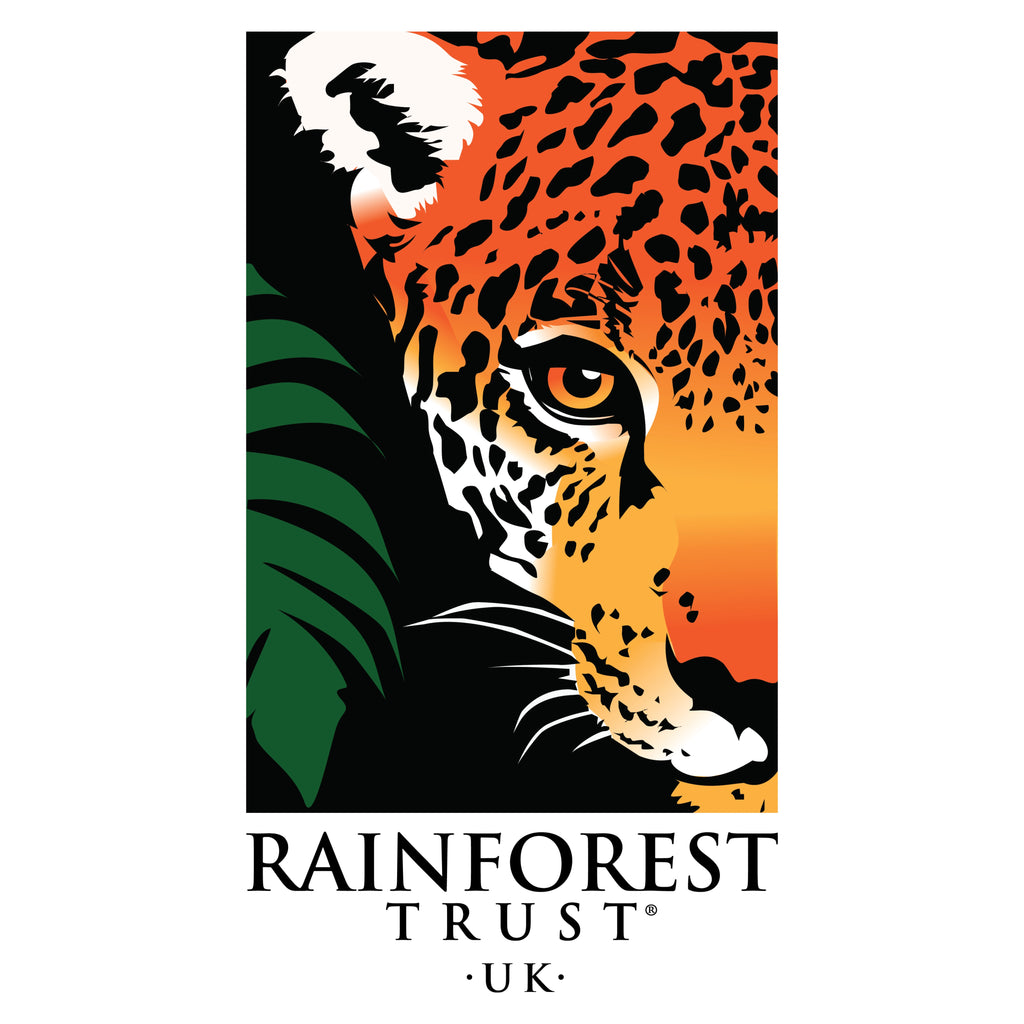 The Rainforest Race - 10km